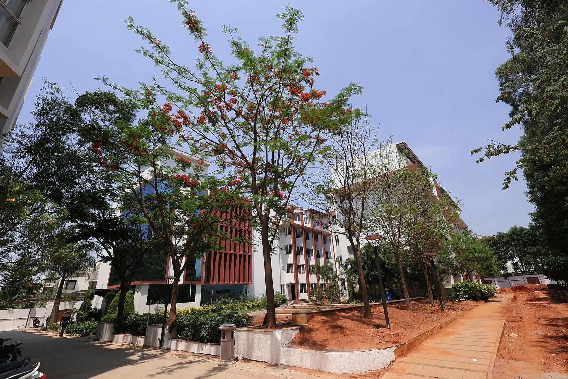 NPS - NVT Group - P4